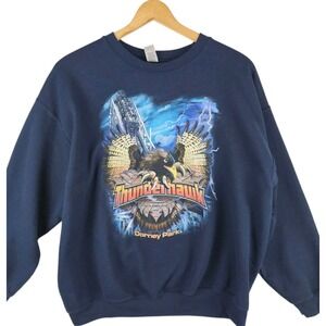Vintage 90s Dorney Park Thunderhawk Sweatshirt Gildan Adult XL Roller Coaster
